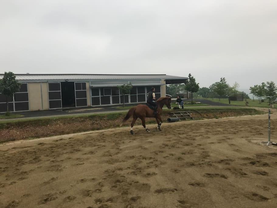Logement Entier De Charme, Gite Equestre Gers Flamarens Eksteriør billede